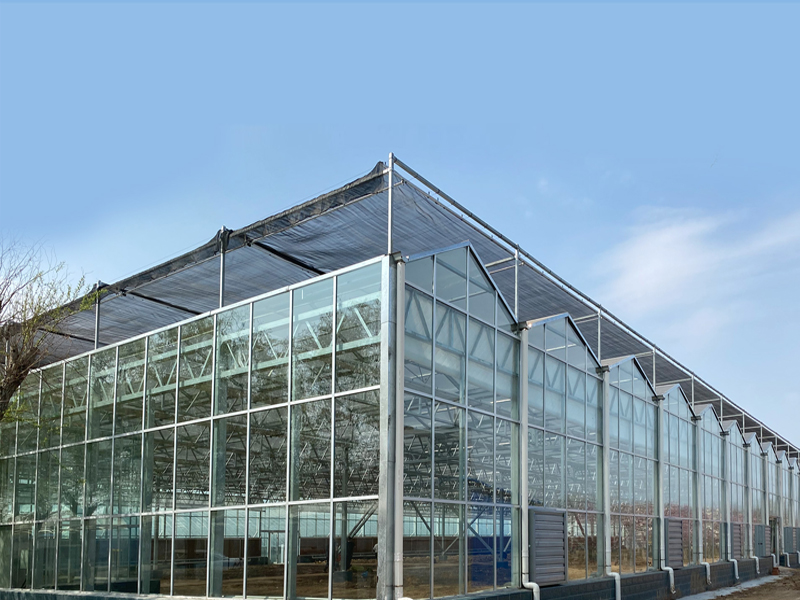 玻璃溫室